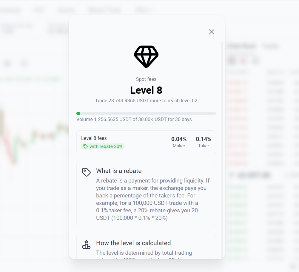 “Spot fees” window: your tier, rebate rate, and maker/taker fees, with an explanation of what a rebate is